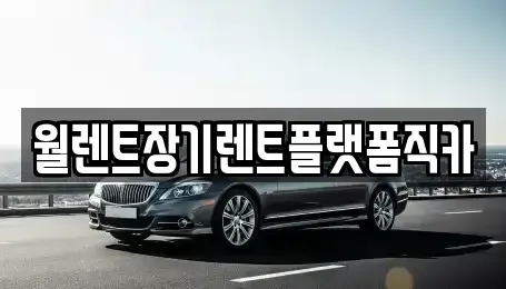 인천광역시 서구 백석동 장기렌트카 전문 월렌트장기렌트플랫폼직카