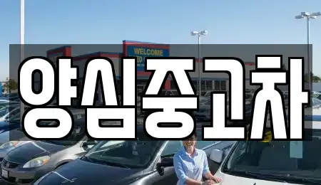 인천광역시 서구 백석동 중고차 전문 양심중고차