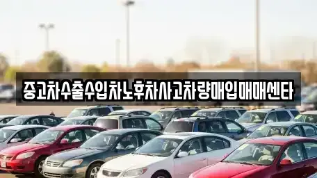 전남 광양시 광양읍 중고차매입 전문 중고차수출수입차노후차사고차량매입매매센타