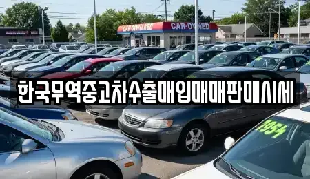 전남 광양시 광양읍 중고차매입 전문 한국무역중고차수출매입매매판매시세