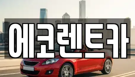 전남 담양군 대전면 렌트카 전문 에코렌트카