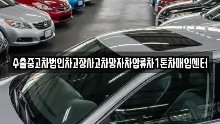 전남 목포시 산정동 중고차매입 전문 수출중고차법인차고장사고차망자차압류차1톤차매입센터