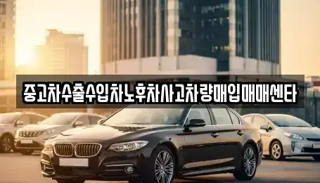전남 신안군 중고차매입 전문 중고차수출수입차노후차사고차량매입매매센타