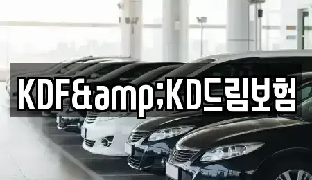 전남 여수시 웅천동 렌트카 전문 KDF&KD드림보험