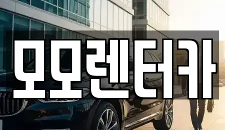 전남 여수시 웅천동 렌트카 전문 모모렌터카