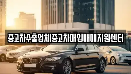 전남 여수시 웅천동 중고차매입 전문 중고차수출업체중고차매입매매지원센터