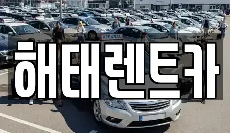 전남 영광군 홍농읍 렌트카 전문 해태렌트카