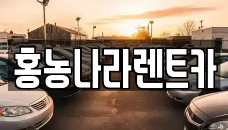 전남 영광군 홍농읍 렌트카 전문 홍농나라렌트카