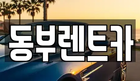 전남 완도군 렌트카 전문 동부렌트카