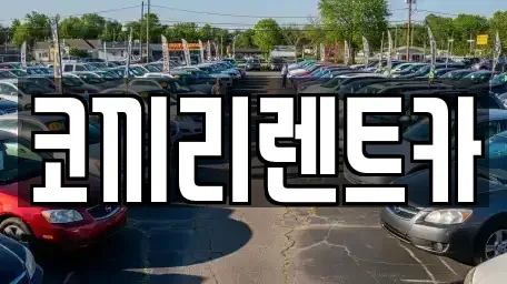 전남 완도군 렌트카 전문 코끼리렌트카