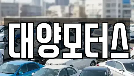 전남 완도군 중고차 전문 대양모터스