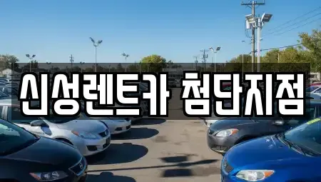 전남 장성군 남면 렌트카 전문 신성렌트카 첨단지점