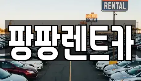 전남 장성군 남면 렌트카 전문 팡팡렌트카