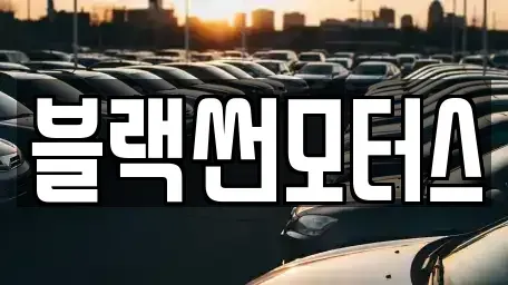 전남 장성군 남면 중고차 전문 블랙썬모터스