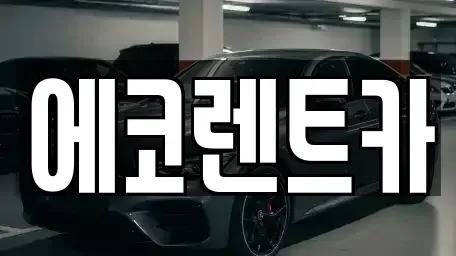 전남 장성군 진원면 렌트카 전문 에코렌트카