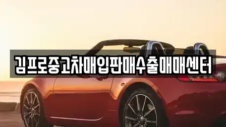 전남 장성군 진원면 중고차 전문 김프로중고차매입판매수출매매센터