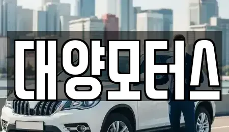 전남 장성군 진원면 중고차 전문 대양모터스