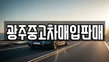 전남 장성군 진원면 중고차매입 전문 광주중고차매입판매