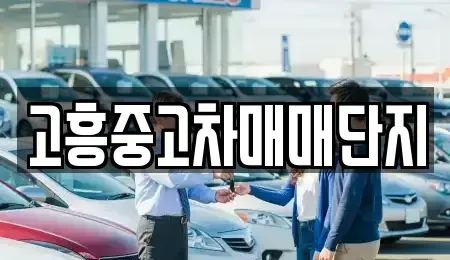 전라남도 고흥군 고흥읍 중고차 전문 고흥중고차매매단지