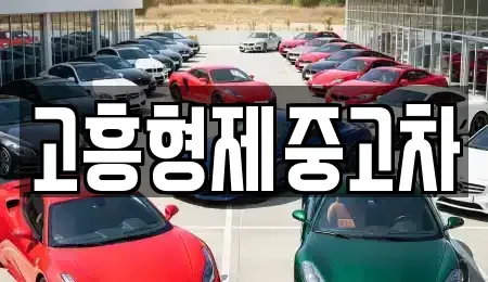 전라남도 고흥군 고흥읍 중고차 전문 고흥형제중고차