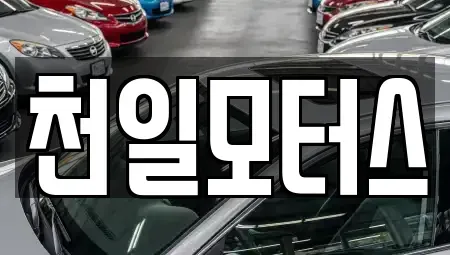 전라남도 고흥군 고흥읍 중고차 전문 천일모터스