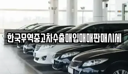 전라남도 고흥군 도덕면 중고차 전문 한국무역중고차수출매입매매판매시세