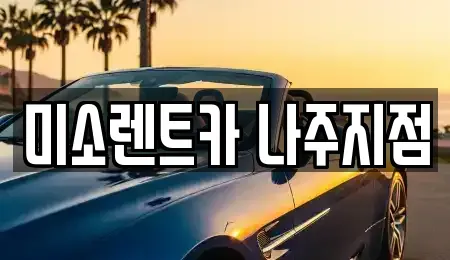 전라남도 나주시 산포면 렌트카 전문 미소렌트카 나주지점