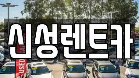 전라남도 나주시 산포면 장기렌트카 전문 신성렌트카