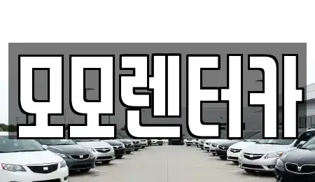 전라남도 여수시 미평동 렌트카 전문 모모렌터카