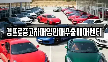 전라남도 여수시 봉산동 중고차 전문 김프로중고차매입판매수출매매센터