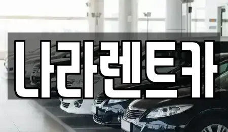 전라남도 여수시 신기동 렌트카 전문 나라렌트카