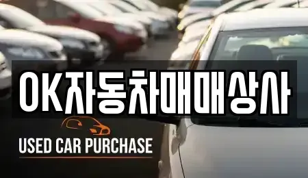 전라남도 여수시 신기동 중고차 전문 OK자동차매매상사