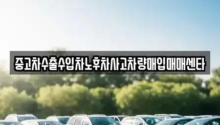 전라남도 영암군 영암읍 중고차매입 전문 중고차수출수입차노후차사고차량매입매매센타
