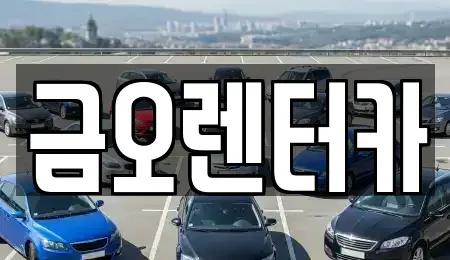 전라남도 장성군 장성읍 렌트카,단기렌트카,장기렌트카,중고차,중고차매매,중고차매입
