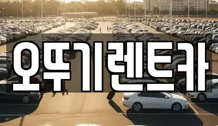 전라남도 장성군 장성읍 렌트카 전문 오뚜기렌트카