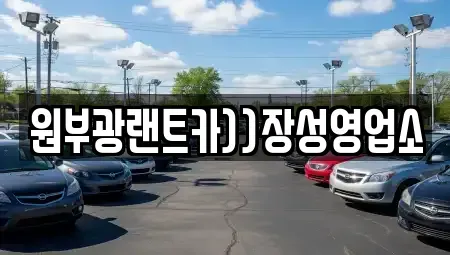 전라남도 장성군 장성읍 렌트카 전문 원부광랜트카))장성영업소
