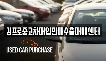 전라남도 장성군 장성읍 중고차 전문 김프로중고차매입판매수출매매센터