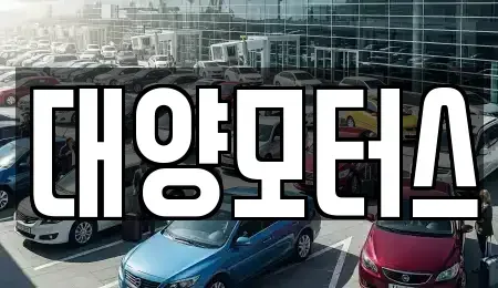 전라남도 장성군 장성읍 중고차 전문 대양모터스