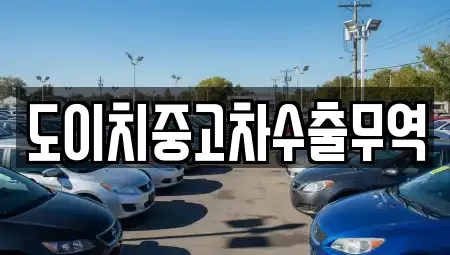 전라남도 장성군 장성읍 중고차 전문 도이치중고차수출무역