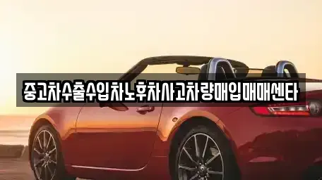 전라남도 장성군 장성읍 중고차 전문 중고차수출수입차노후차사고차량매입매매센타