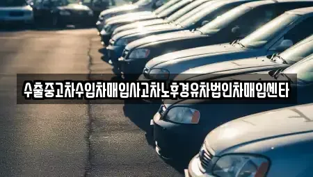 전라남도 장성군 장성읍 중고차매입 전문 수출중고차수입차매입사고차노후경유차법인차매입센타