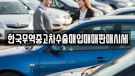 전라남도 장성군 장성읍 중고차매입 전문 한국무역중고차수출매입매매판매시세
