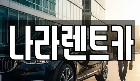 전라남도 함평군 렌트카 전문 나라렌트카