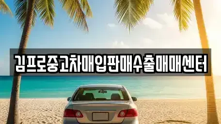 전라남도 함평군 중고차매입 전문 김프로중고차매입판매수출매매센터