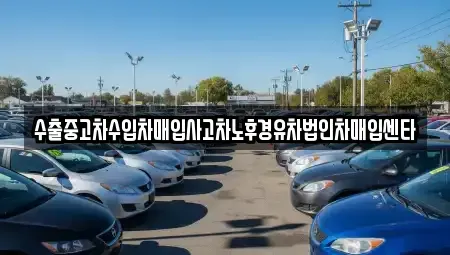 전라남도 함평군 중고차매입 전문 수출중고차수입차매입사고차노후경유차법인차매입센타
