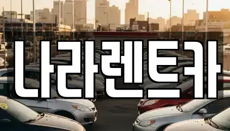 전라남도 함평군 함평읍 렌트카 전문 나라렌트카