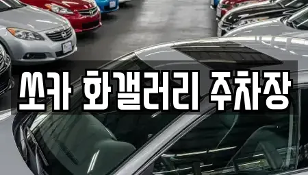 전북 군산시 경암동 렌트카 전문 쏘카 화갤러리 주차장