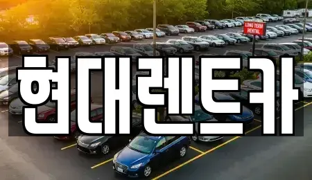 전북 군산시 신영동 렌트카 전문 현대렌트카