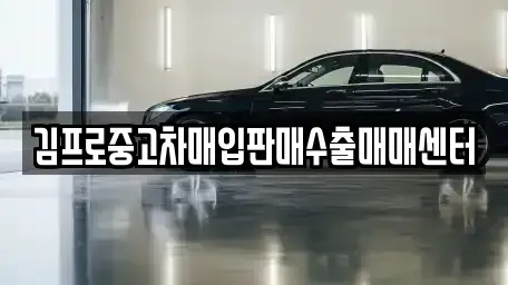 전북 완주군 삼례읍 중고차 전문 김프로중고차매입판매수출매매센터