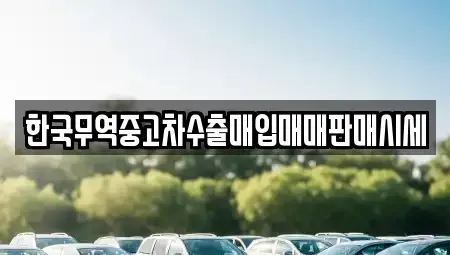 전북 완주군 삼례읍 중고차 전문 한국무역중고차수출매입매매판매시세